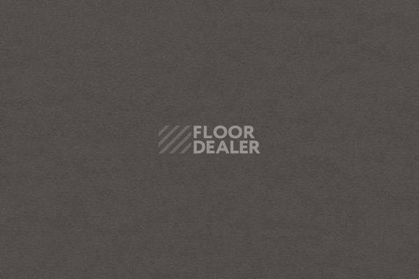 Линолеум Forbo Furniture Linoleum 4178 iron фото 1 | FLOORDEALER